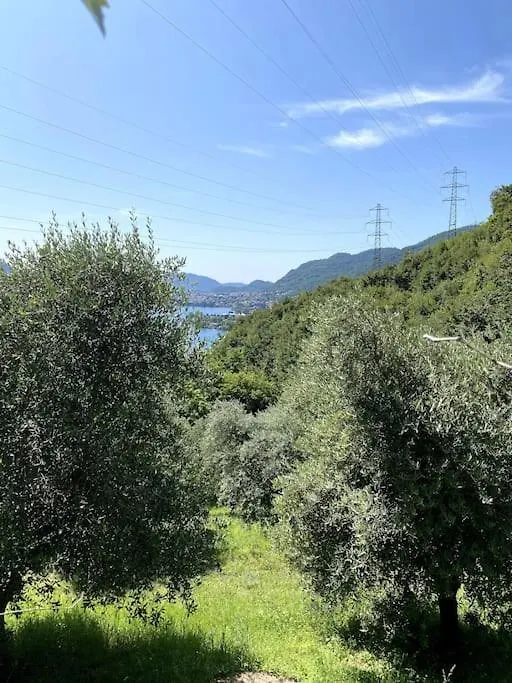 La Dimora Degli Olivi Villa Galbiate Vakantiehuis