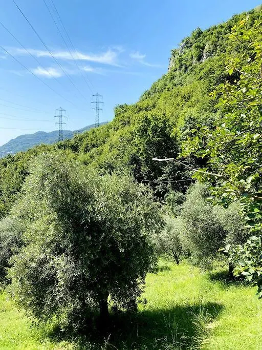 Сasa de vacaciones Villa La Dimora Degli Olivi Galbiate Italia
